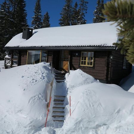 Chalet Korpstigen Aelgen - Dan075 By Interhome Sälen Kültér fotó